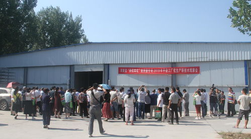 河南省“四优四化”科技支撑行动计划食用菌专项平菇、双孢蘑菇工厂化生产新技术观摩交流会暨技术转让会成功召开